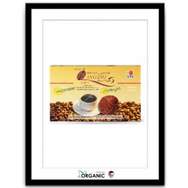 DXN LINGZHI BLACK COFFEE (2 IN 1)