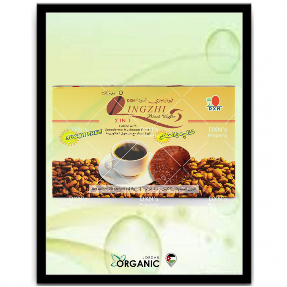 DXN LINGZHI BLACK COFFEE (2 IN 1)