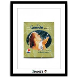 GANOZHI SOAP