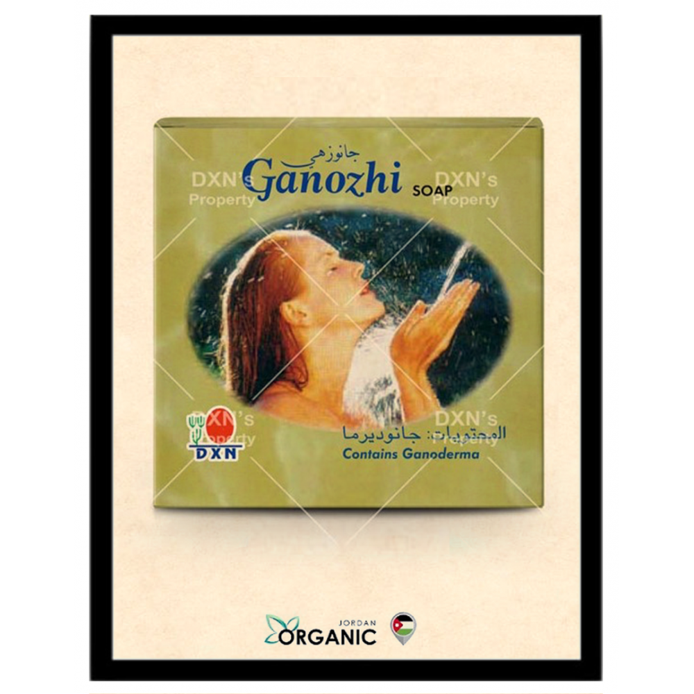 GANOZHI SOAP