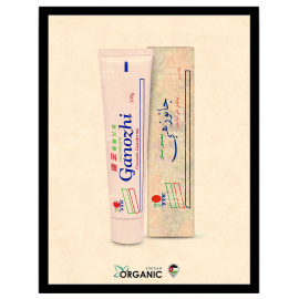 GANOZHI TOOTHPASTE