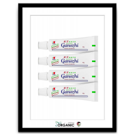 DXN GANOZHI TOOTHPASTE 4X40G