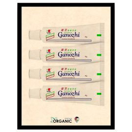 DXN GANOZHI TOOTHPASTE 4X40G