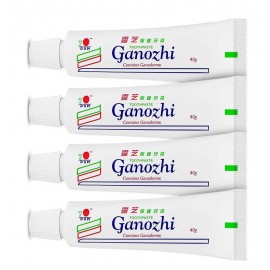 DXN GANOZHI TOOTHPASTE 4X40G